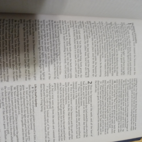 NIP Thomas Nelson Gift Bible - Picture 7 of 8